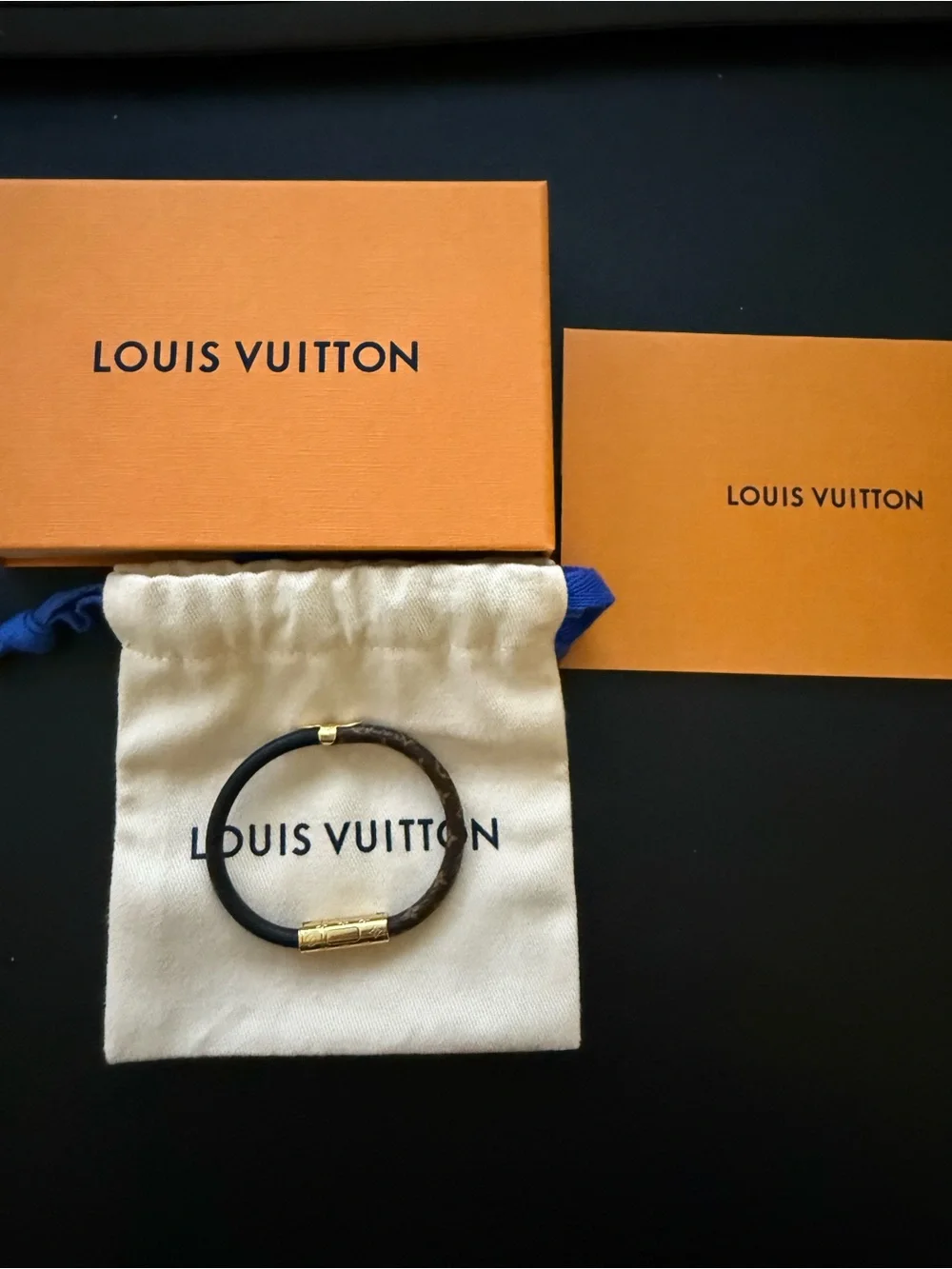 Louis Vuitton Daily Confidential Leather Bracelet